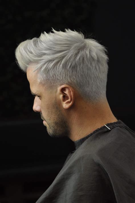 Silver hair man | White hair men, Silver hair men, Grey hair men