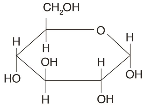 Which Of The Following Carbohydrates Is Used To Store Energy In Animal ...