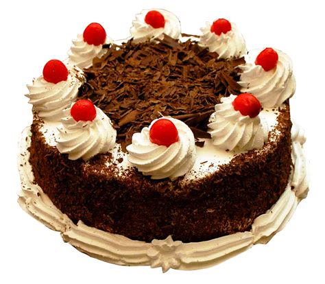 Chocolate Cake PNG Image - PurePNG | Free transparent CC0 PNG Image Library