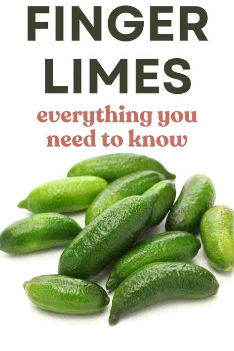 Finger Limes 101 - How To Use, Buy, Store In Easy Way - Fas Kitchen