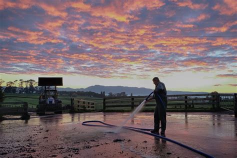 Pressure Washing Equipment Can Make Quick Work of Dairy Farm Cleaning ...