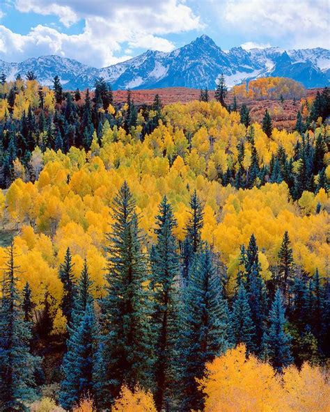 Fall color in the San Juan Range; Uncompahgre National Forest | San ...