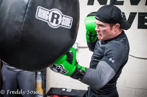 canelo alvarez training routine