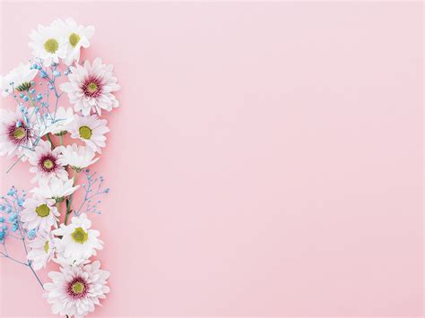 Powerpoint Background Floral