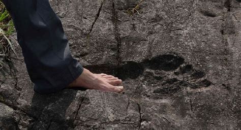 5 GIANT footprints that you won't believe are real | Ufomania