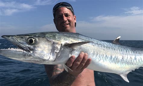 King Mackerel Fishing Clearwater FL | FishEye Sportfishing