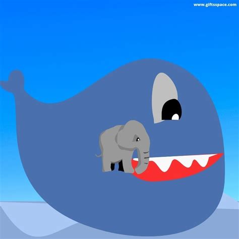 Blue Whale Compared To Elephant