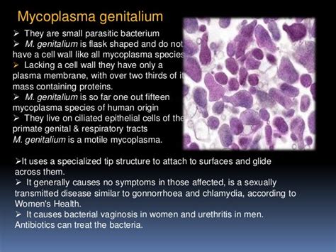 Structure and reproduction of mycoplasma