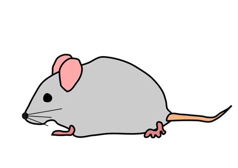 Cute Mouse Clipart | Free Clip Art