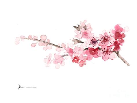 Cherry blossom art print watercolor painting Painting by Joanna Szmerdt ...