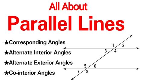 Alternate Interior And Exterior Angles | Cabinets Matttroy