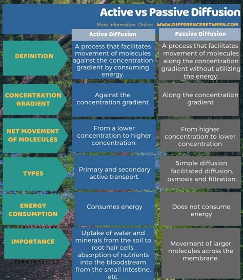 Difference Between Active and Passive Diffusion | Compare the ...