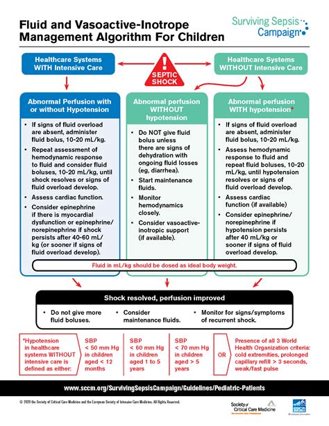 Surviving Sepsis Campaign