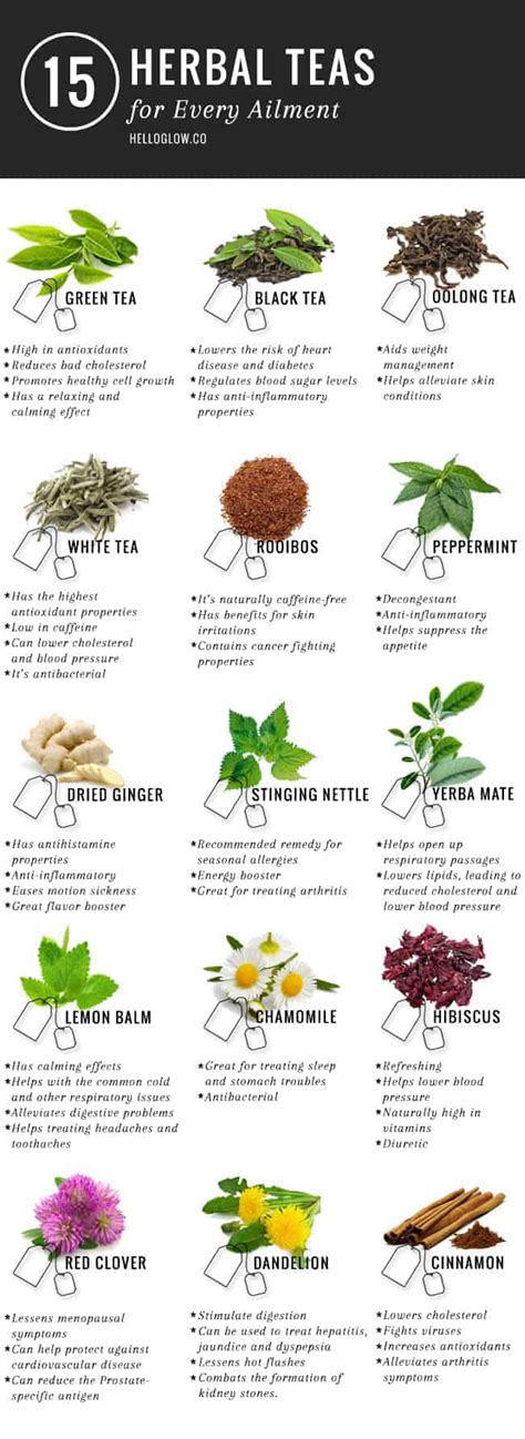 Here’s To Your Health – The Benefits Of Drinking Tea | Daily Infographic