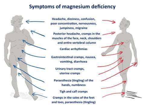 Magnesium Deficiency Symptoms - The Magnesium Guide