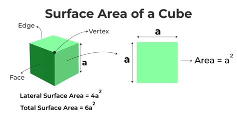 Surface Area of Cube - Formula, Definition, Examples, FAQs