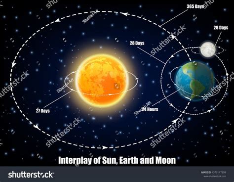 Interplay of Sun, Earth and Moon diagram. Vector educational poster ...