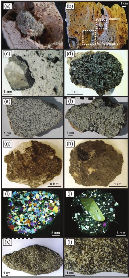 Representative images of inclusions and xenolith types. (a) Mafic bleb ...