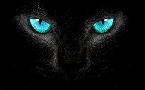 Black Panther Blue Eyes Wallpaper - WallpaperSafari