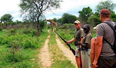 Lion Sands Narina Lodge - Siyeza Safaris