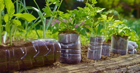 How to Make a Plastic Bottle Garden for Sustainable Gardening