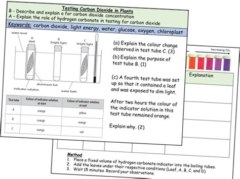 L6 - 2.45B - Hydrogen-Carbonate Indicator Practical (IGCSE Biology 9-1 ...