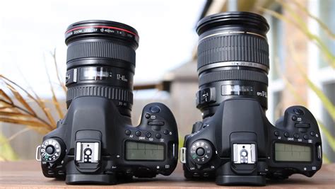 Canon EOS 80D vs. 90D: Which is Better? - FotoProfy