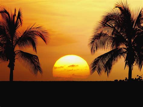 🔥 [40+] Sunset Hawaii Beach Wallpapers | WallpaperSafari