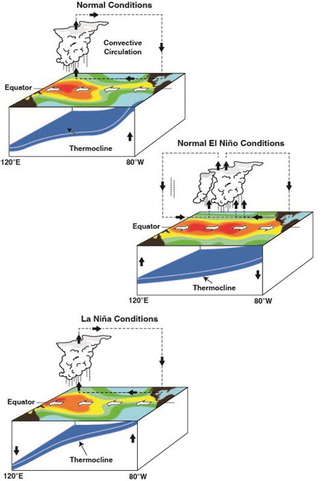 What is El Niño - Southern Oscillation? | Royal Meteorological Society