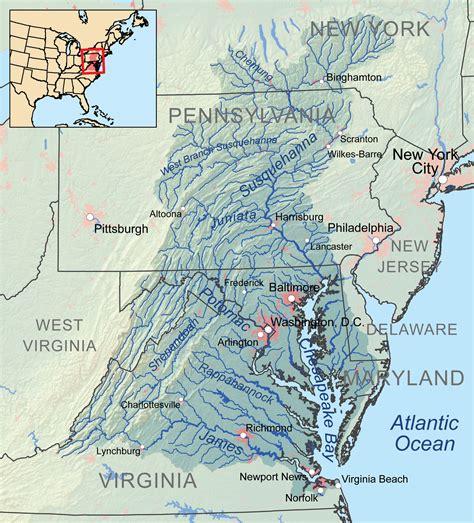 Chesapeake bay pollution - WriteWork