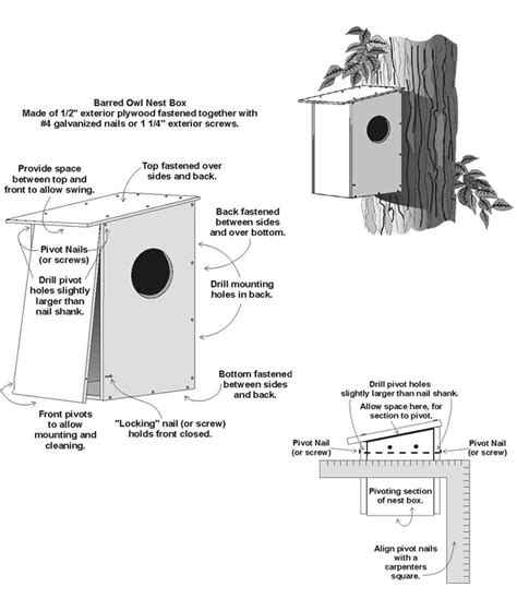 Barn Owl House Plans Pdf | Minimalist Home Design Ideas