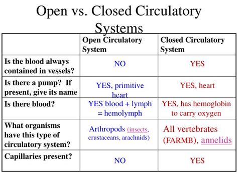 PPT - Transport, Circulation, Immunity PowerPoint Presentation - ID:3555574