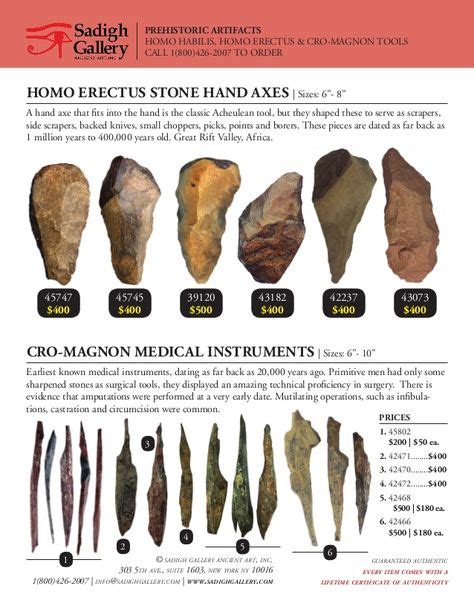 Pin by Robbie Smart on Ancient tools in 2020 | Prehistoric, Artifacts ...