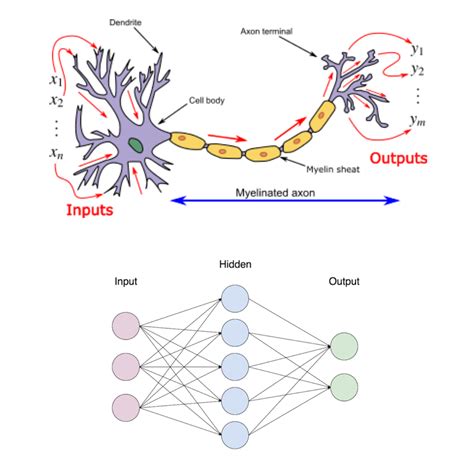 Components Of Neural Network Architecture - Design Talk