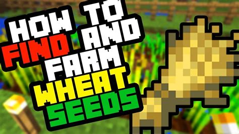 How to Find Wheat Seeds in Minecraft Survival 2019 (And Farm Them ...