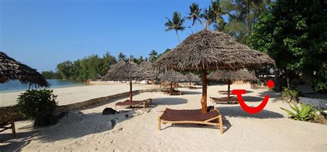 Paradise Beach Resort Zanzibar - Hotel - Tanzania | TUI