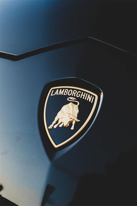 Lamborghini logo meaning and history - LamboCARS