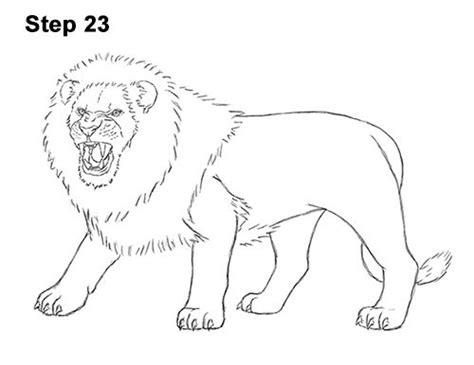 Lion Roaring Drawing 23 | Lion coloring pages, Scary lion, Lion drawing