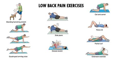 Isometric Back Exercises Pdf janiyili