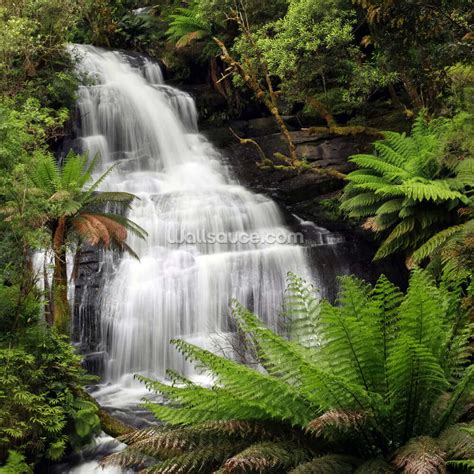 Rainforest Waterfall Wallpaper | Wallsauce UK