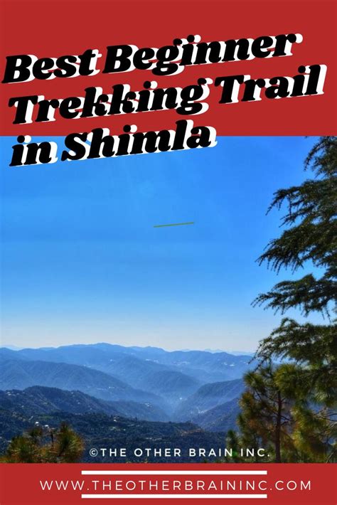 Best Beginner Trekking Trail in Shimla | Shimla, Trekking, Trek