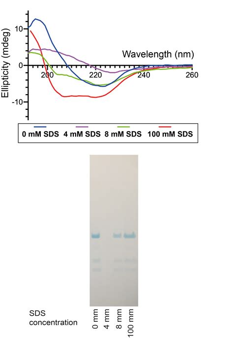 356 questions with answers in PROTEIN PRECIPITATION | Scientific method