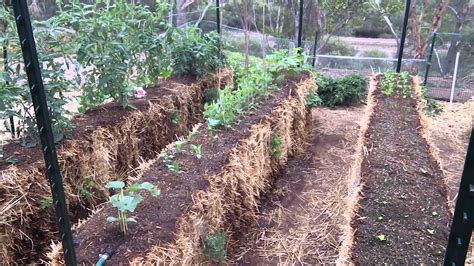 Hay and Straw Bale Gardening: Everything You Wanted to Know for the ...