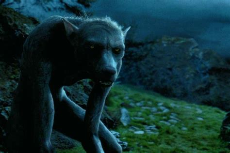 Werewolf army - Harry Potter Wiki