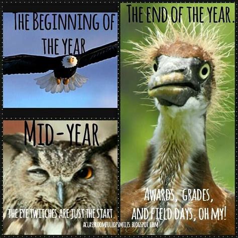 A Great Way to End the School Year | Teacher memes, Teacher jokes ...