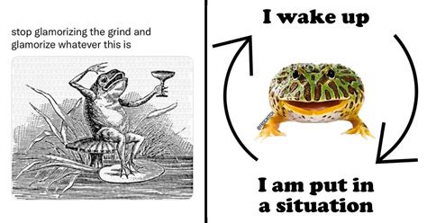 A Quaint Basket of Frog Memes For Frog Enthusiasts | Flipboard