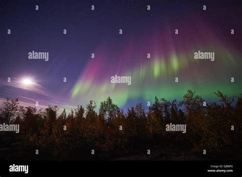 Northern lights, Lapland, Sweden Stock Photo - Alamy