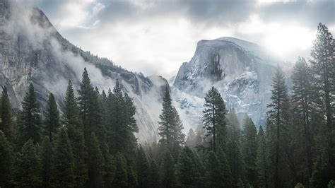 Wallpaper Yosemite, 5k, 4k wallpaper, 8k, forest, OSX, apple, mountains ...