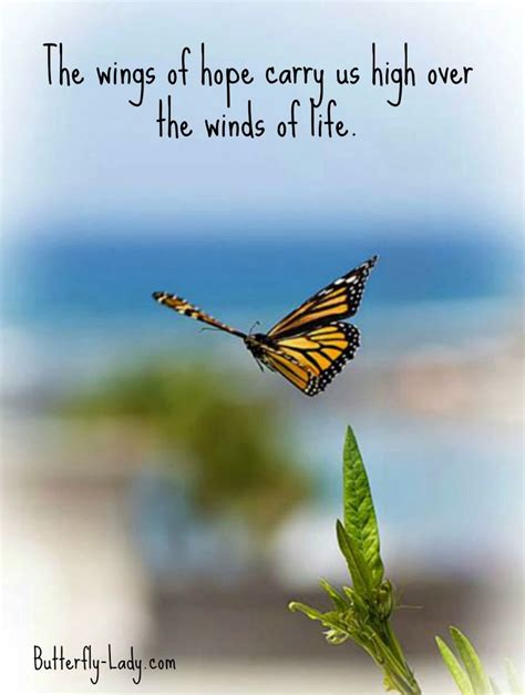 best butterfly inspirational quotes - Rosita Luther