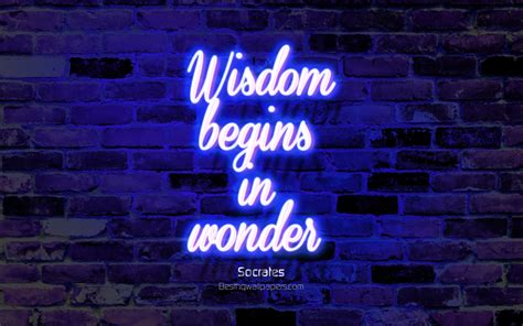 Download wallpapers Wisdom begins in wonder, blue brick wall, Socrates ...